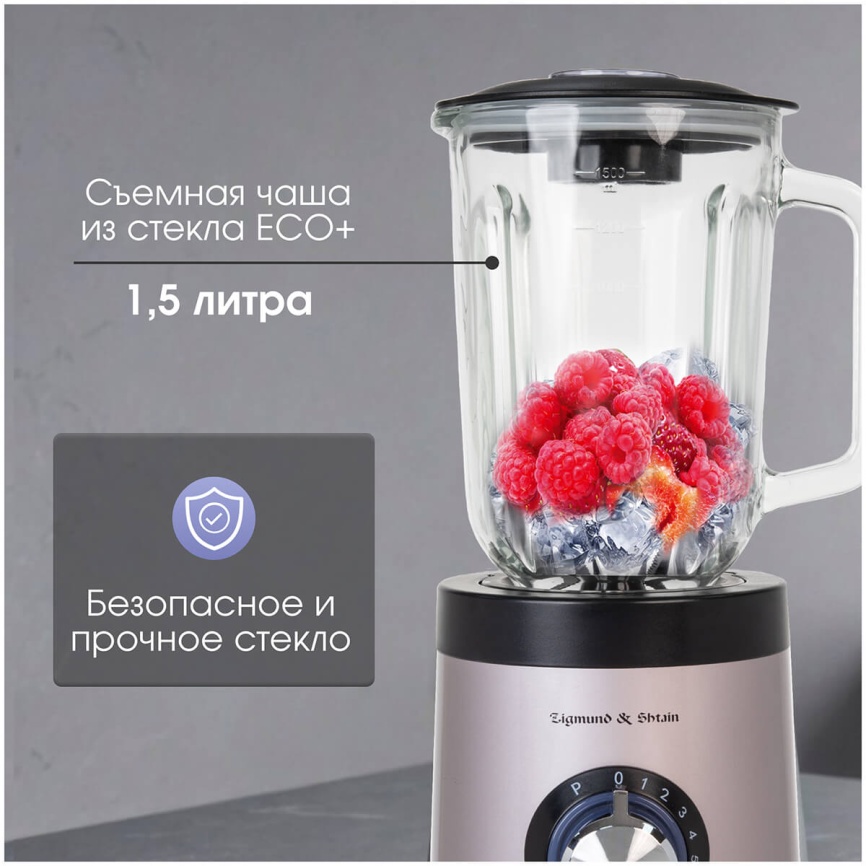 Блендер стационарный Zigmund & Shtain BS-441 D фото 6