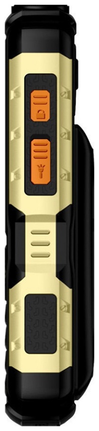 Мобильный телефон BQ 2430 Tank Power кнопочный 2 SIM-карты, чёрный золотой фото 3